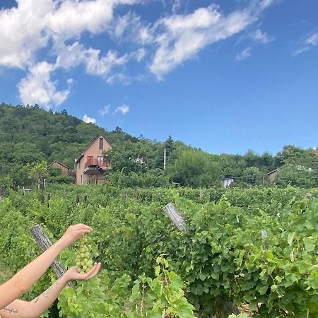 Feher Szolo Vendeghaz Sátoraljaújhely Dış mekan fotoğraf