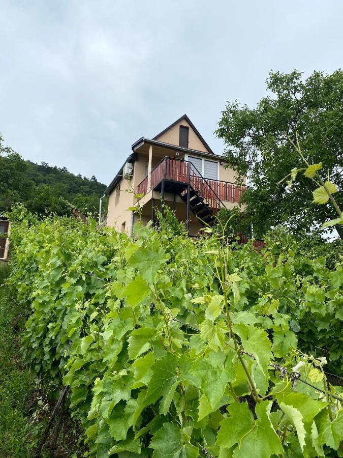 Feher Szolo Vendeghaz Sátoraljaújhely Dış mekan fotoğraf